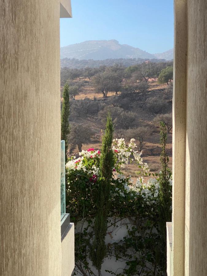 Villa Amalou Avec Piscine Famille Uniquement Agadir Kültér fotó
